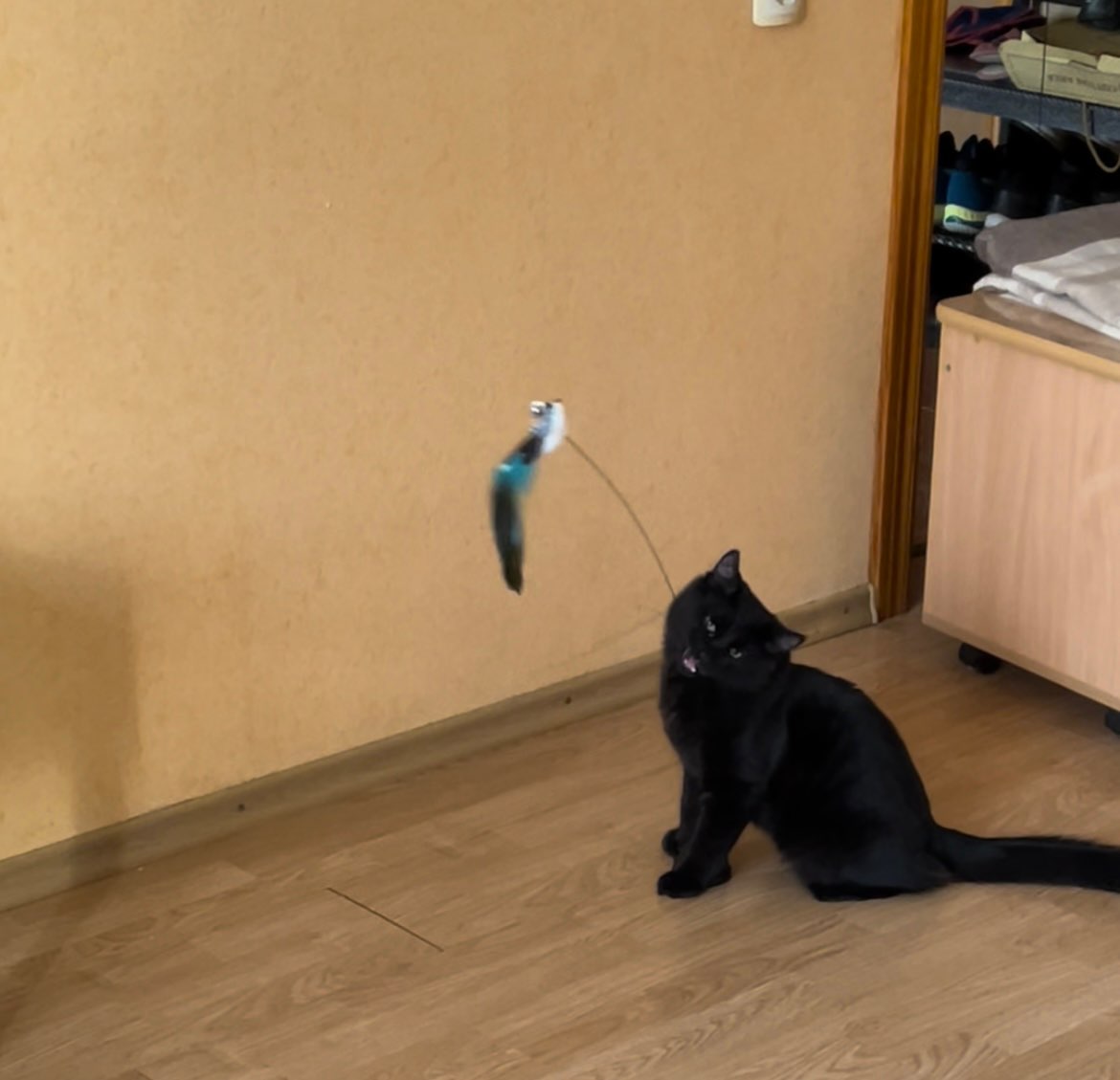 Interactive Cat Toy with Feather Bird photo review