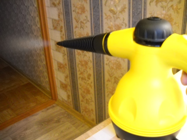 Handheld Electric Steam Cleaner photo review