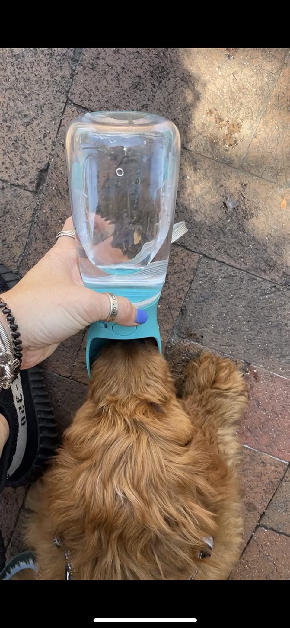 Home Pets Dog Water Feeder-Bottle photo review