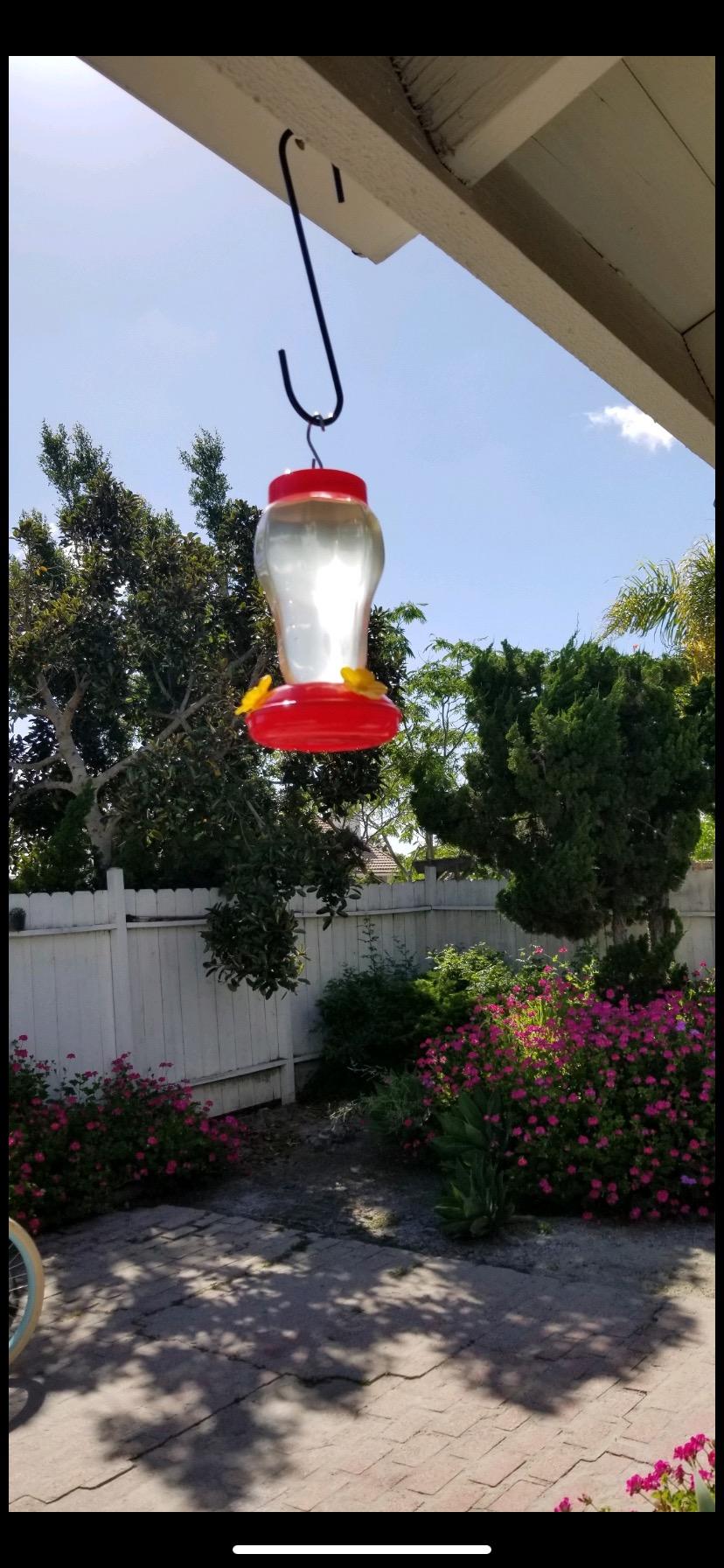 Hummingbird Bird Feeders photo review