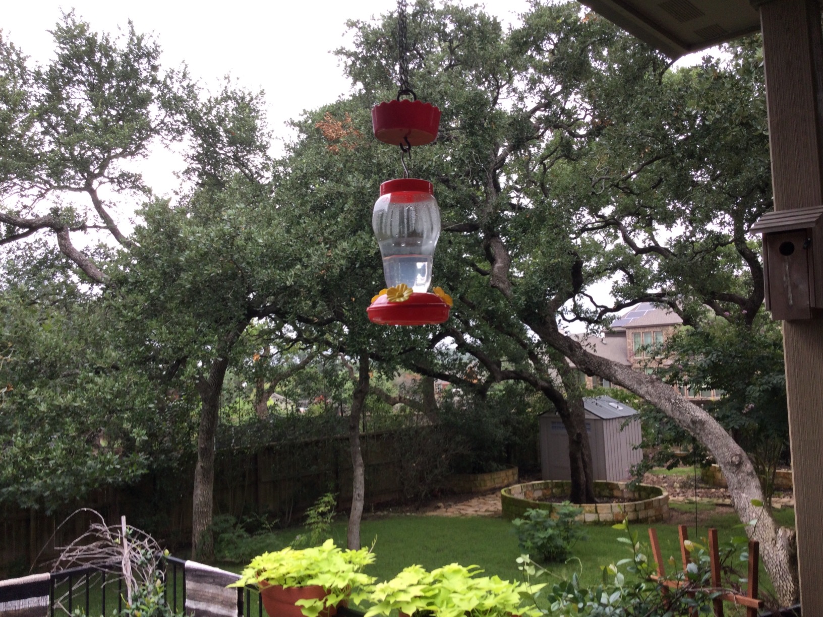 Hummingbird Bird Feeders photo review