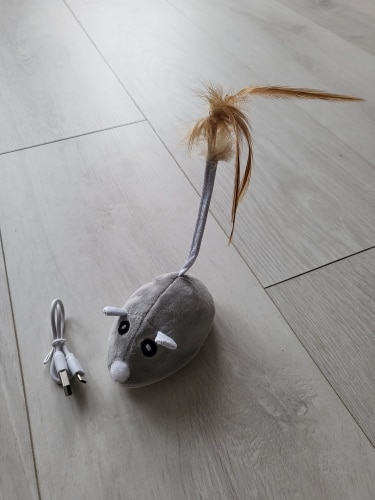 Pet Cat Toy Crawling Mouse With USB Charging photo review