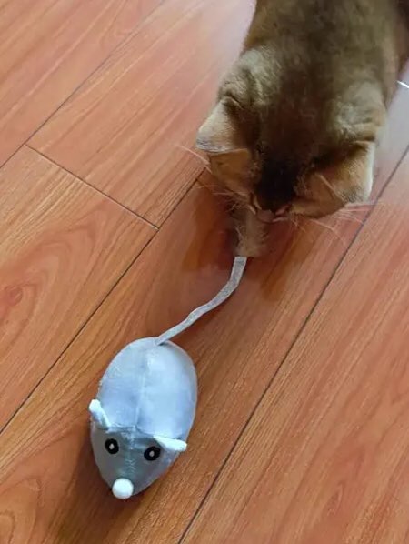 Pet Cat Toy Crawling Mouse With USB Charging photo review