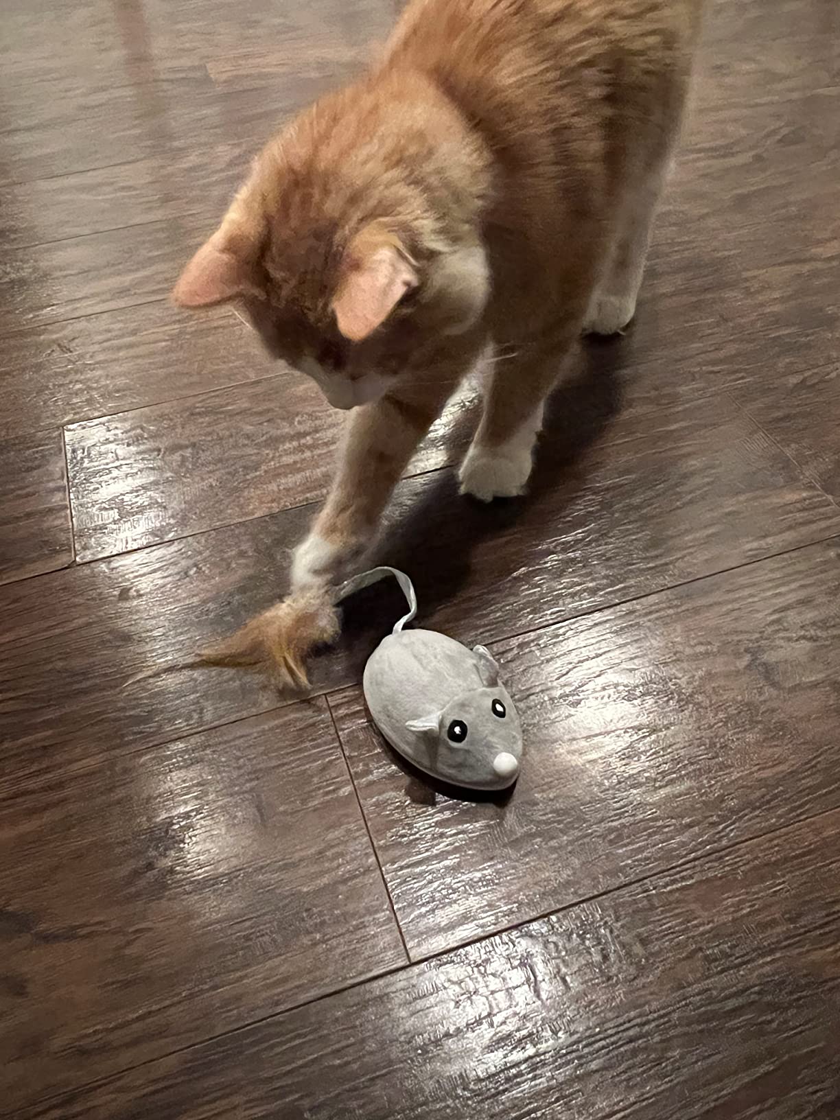 Pet Cat Toy Crawling Mouse With USB Charging photo review