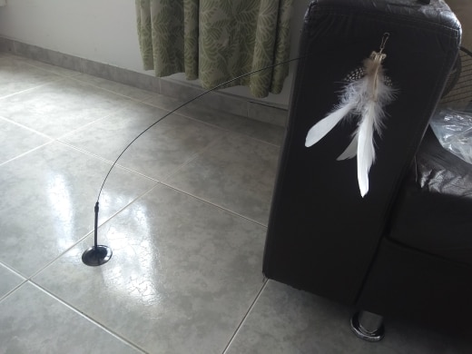 Interactive Feather Bird Toy For Cats photo review