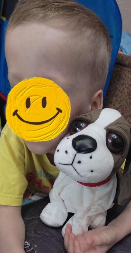 Interactive Puppy photo review