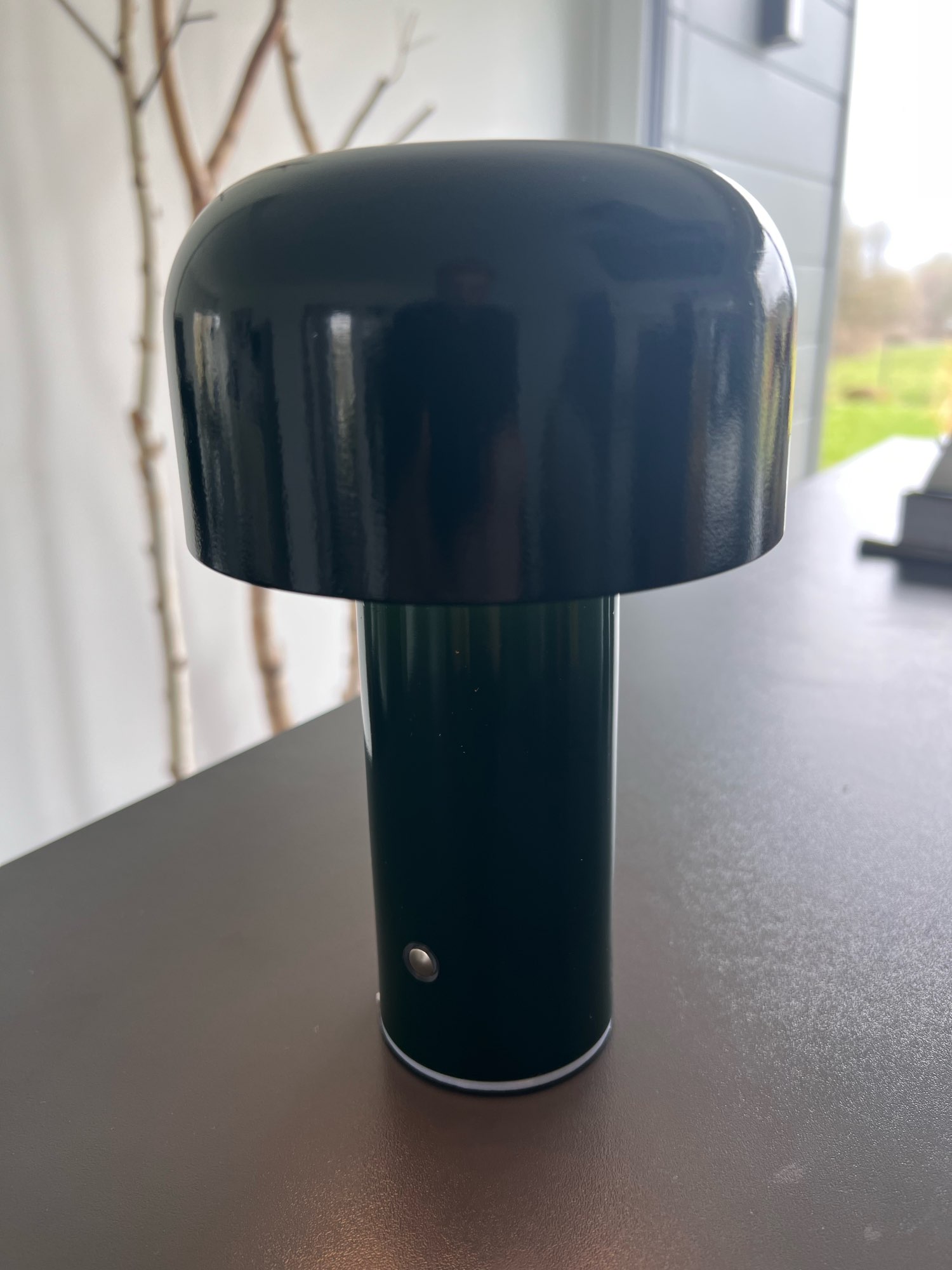 Rechargeable Induction Wireless Mushroom Table Lamp photo review