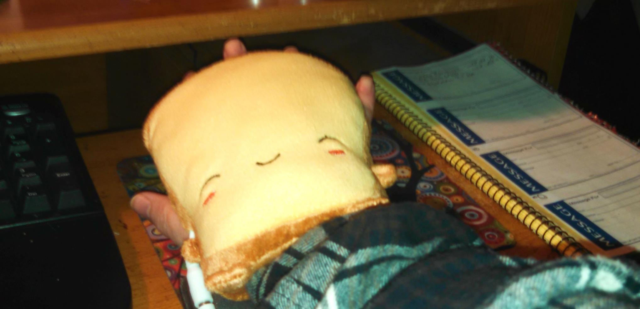 Kawaii Toast Hand Warmers photo review