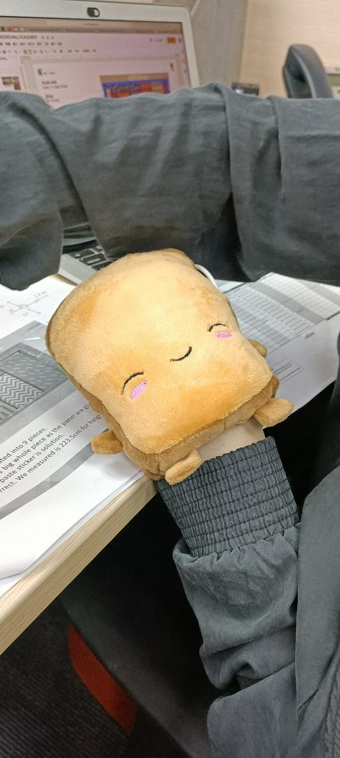 Kawaii Toast Hand Warmers photo review