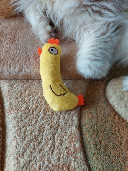 Interactive Catnip Teething Toy for Kittens photo review