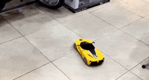Scale Electric RC Car with Openable Doors For Boys