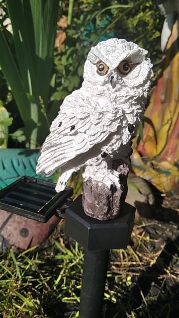 Led Solar Garden Owl Lights Waterproof Animal photo review