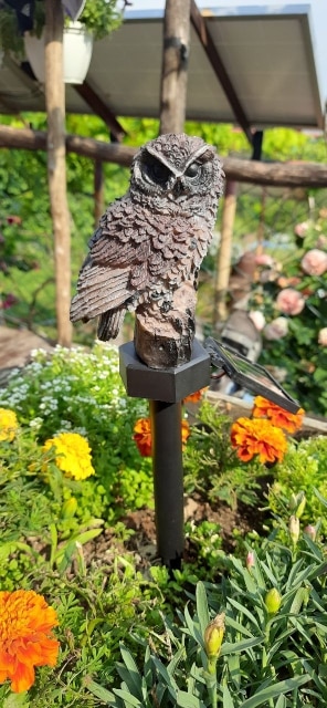 Led Solar Garden Owl Lights Waterproof Animal photo review