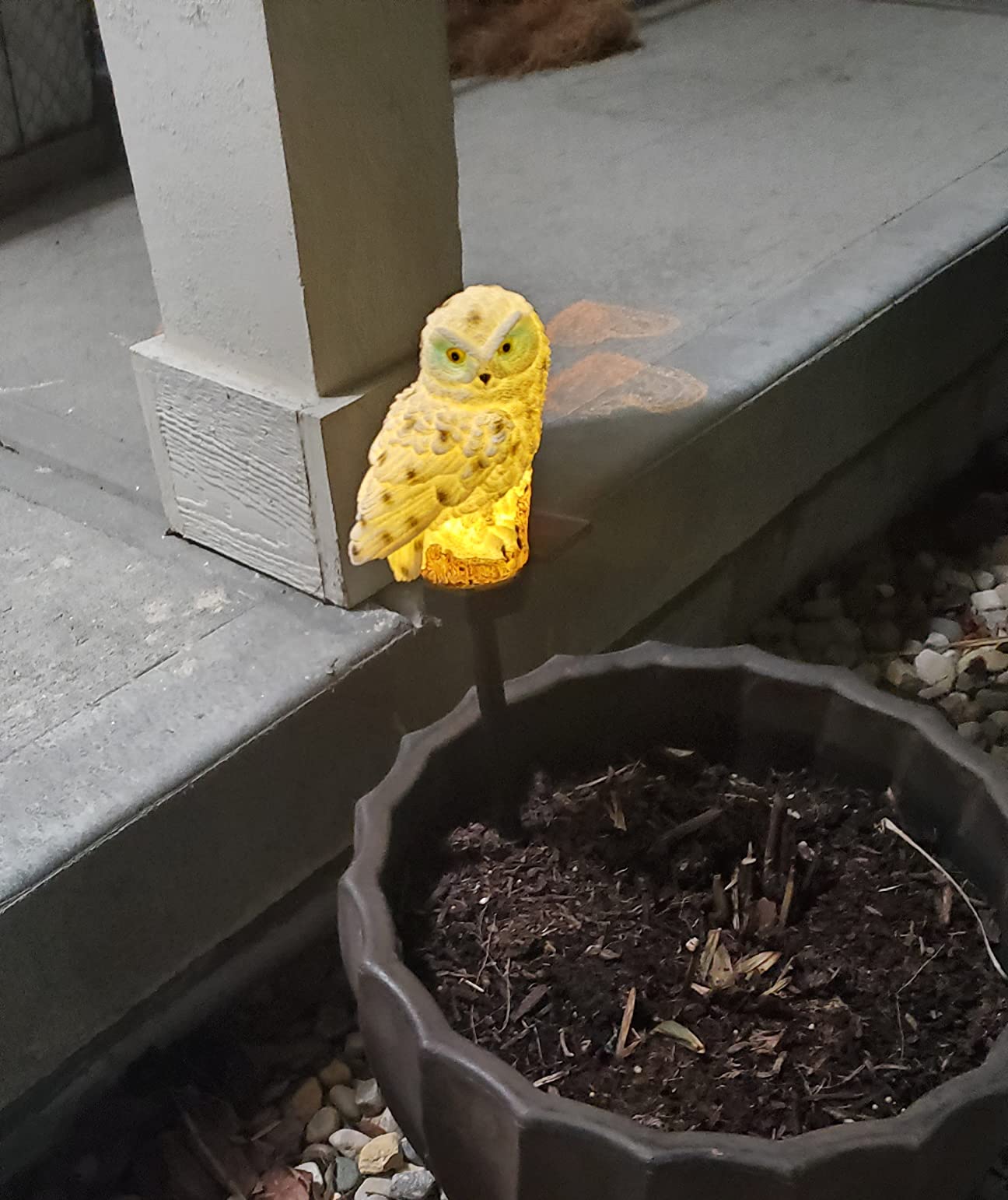 Led Solar Garden Owl Lights Waterproof Animal photo review