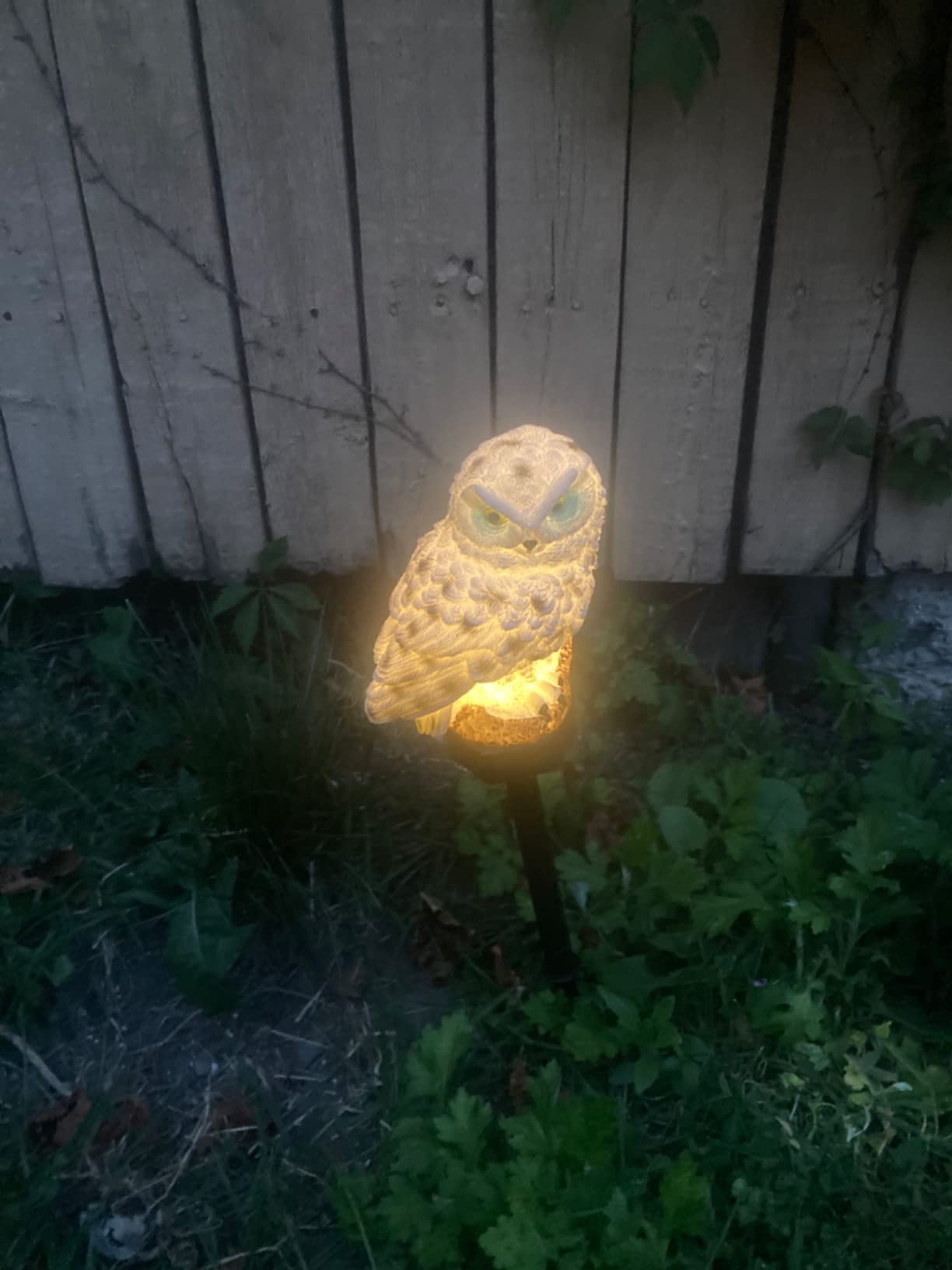 Led Solar Garden Owl Lights Waterproof Animal photo review