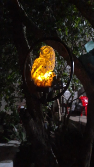 Led Solar Garden Owl Lights Waterproof Animal photo review