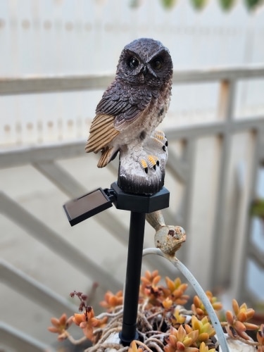 Led Solar Garden Owl Lights Waterproof Animal photo review