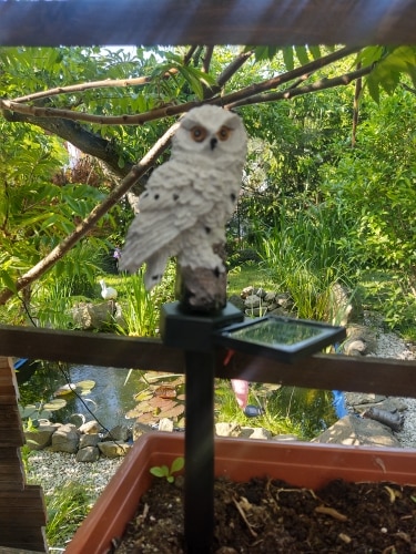 Led Solar Garden Owl Lights Waterproof Animal photo review