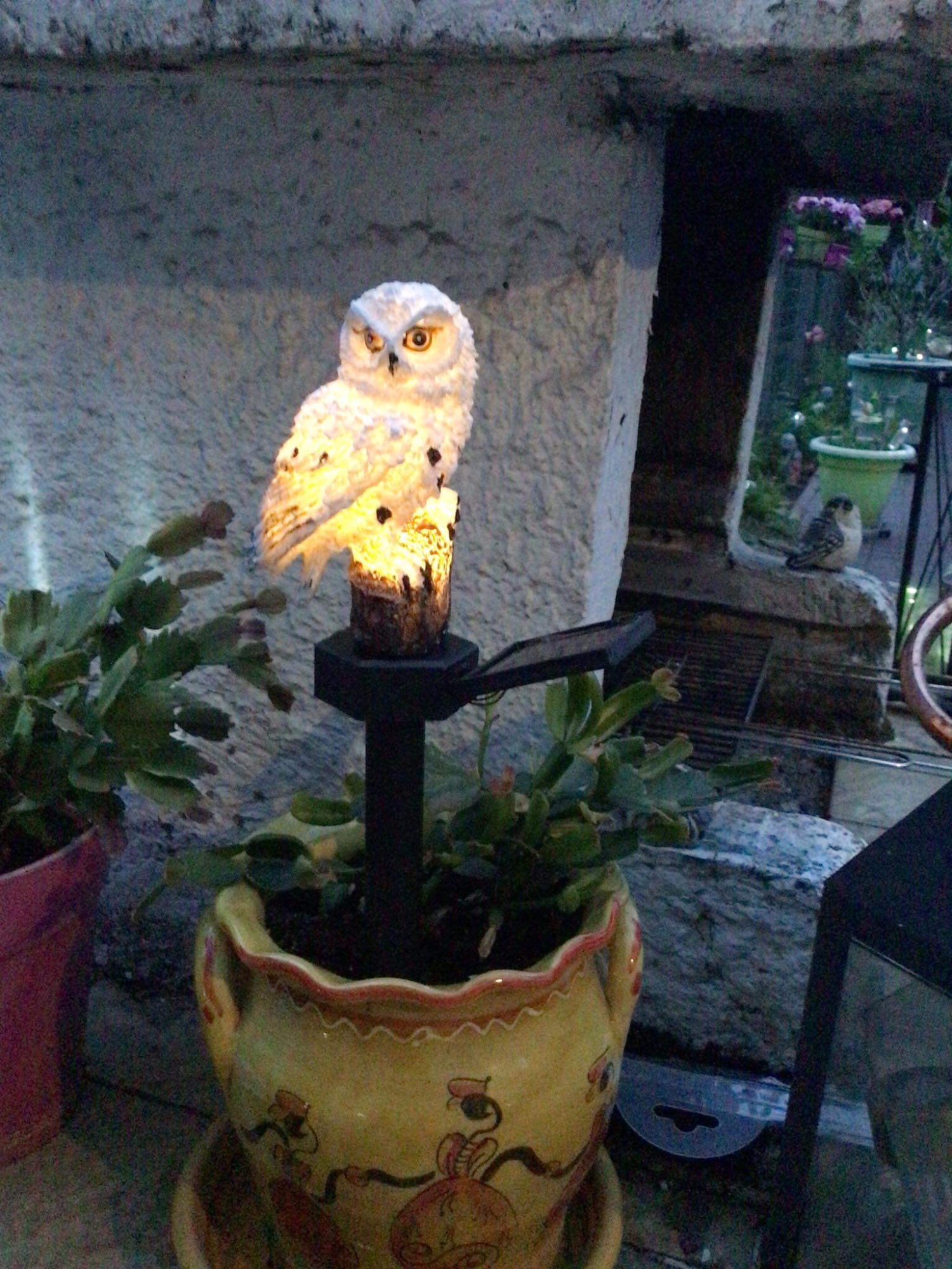 Led Solar Garden Owl Lights Waterproof Animal photo review