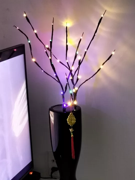 Led Willow Branch Lamp For Decoration photo review