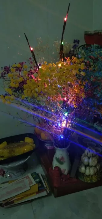 Led Willow Branch Lamp For Decoration photo review