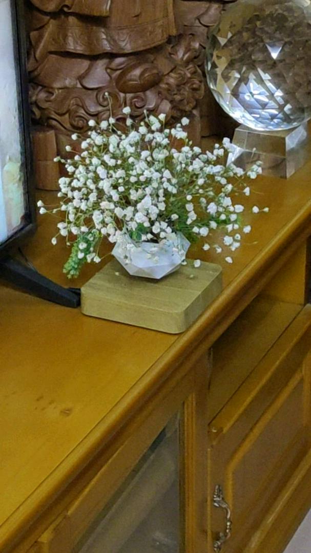 Levitating Bonsai Pot photo review