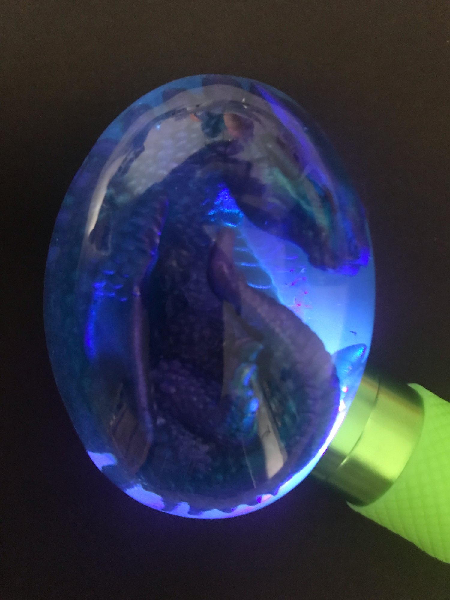 Lifelike Lava Dragon Egg photo review