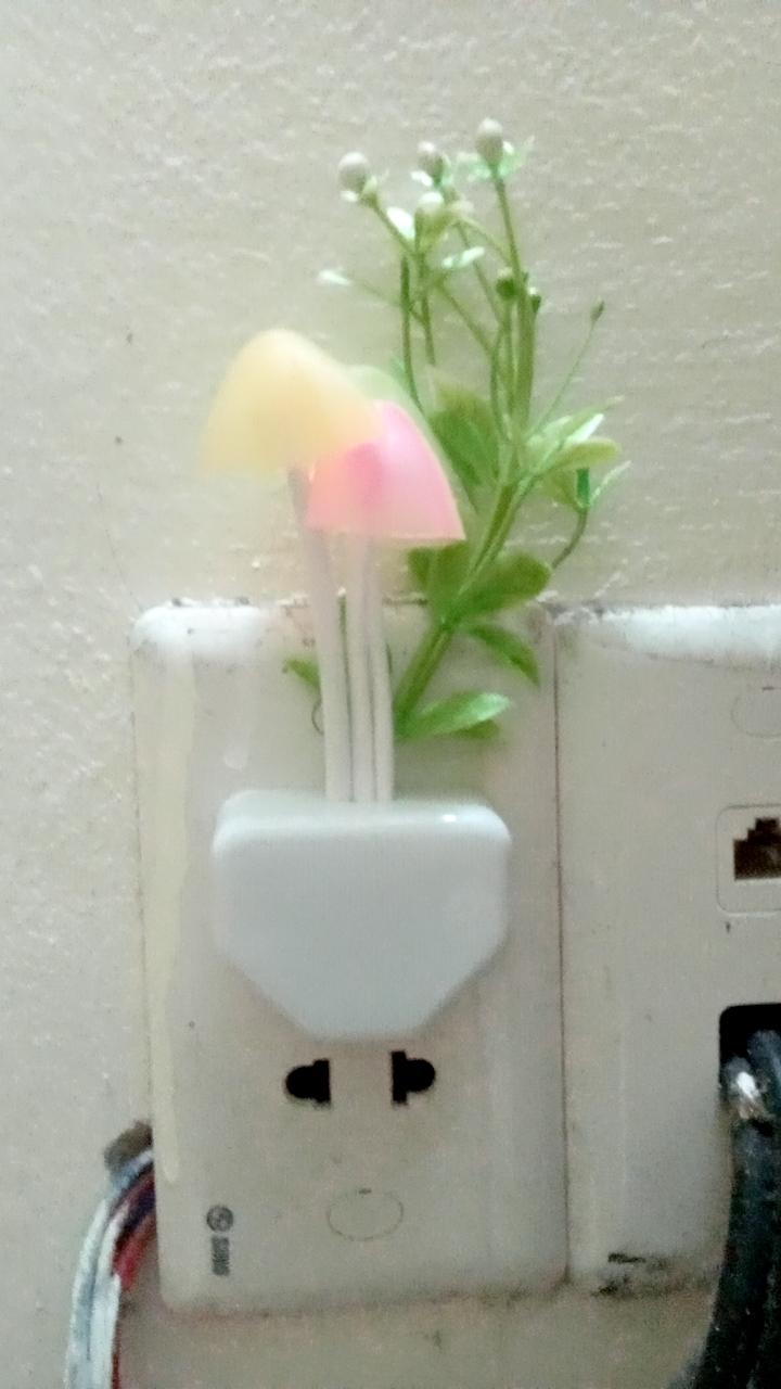 Light Sensor Mushroom Lamp photo review