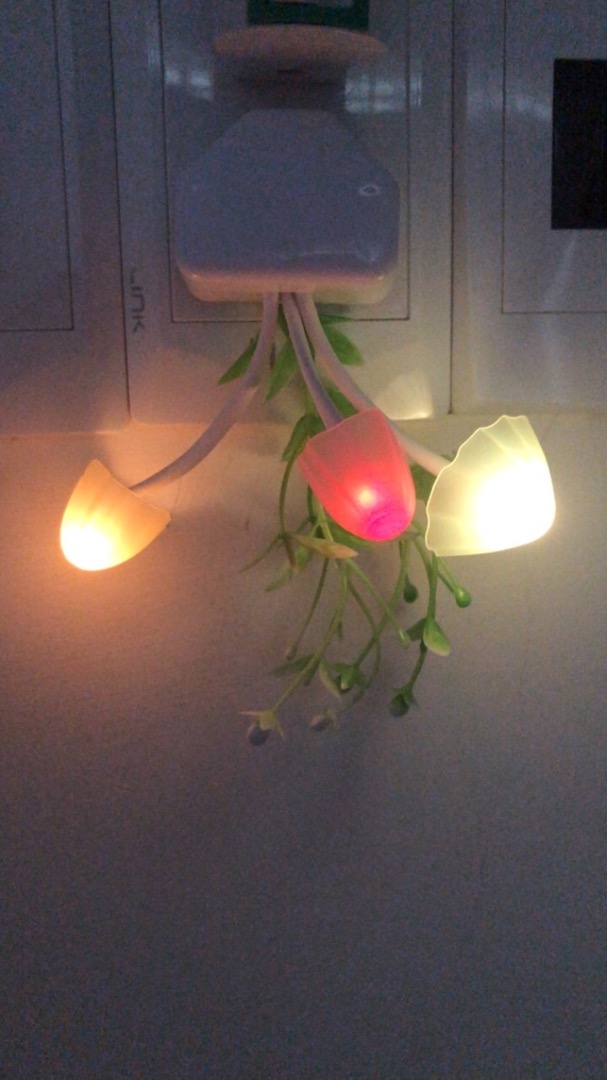 Light Sensor Mushroom Lamp photo review