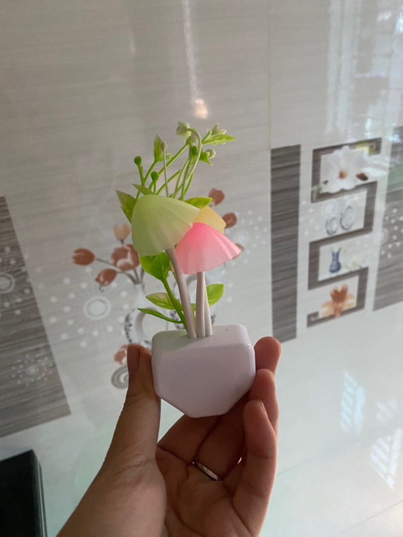 Light Sensor Mushroom Lamp photo review