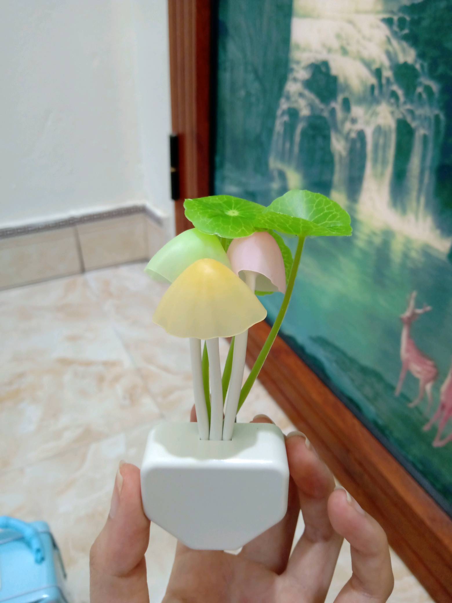 Light Sensor Mushroom Lamp photo review