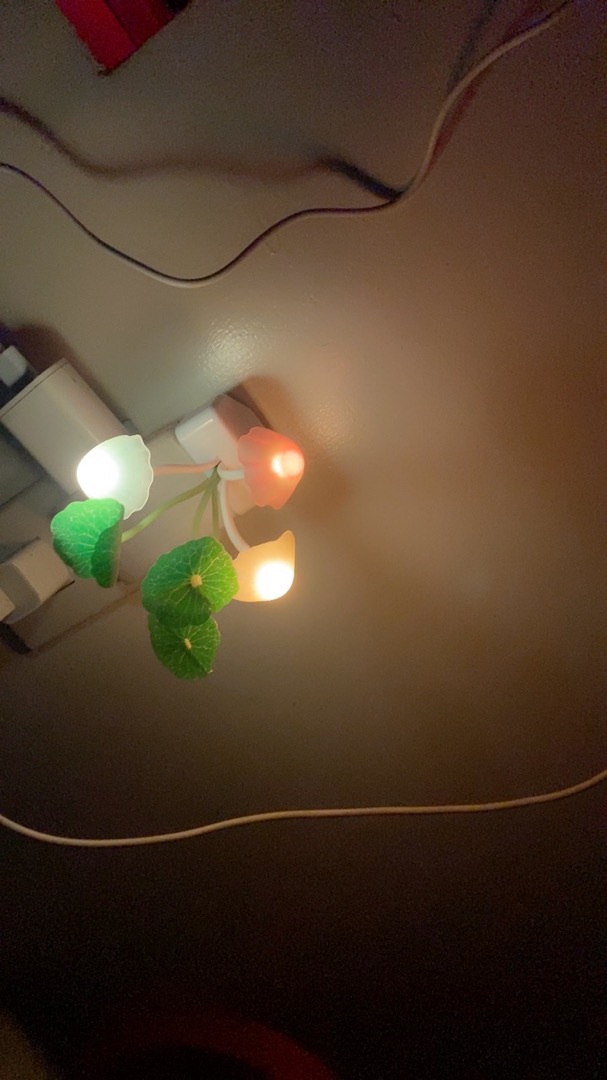 Lucky Mushroom Night Light photo review