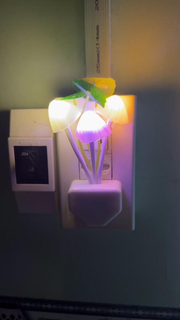 Lucky Mushroom Night Light photo review