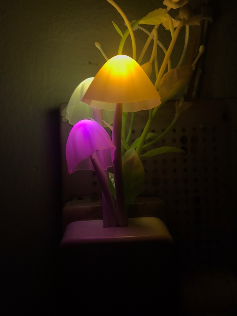 Lucky Mushroom Night Light photo review