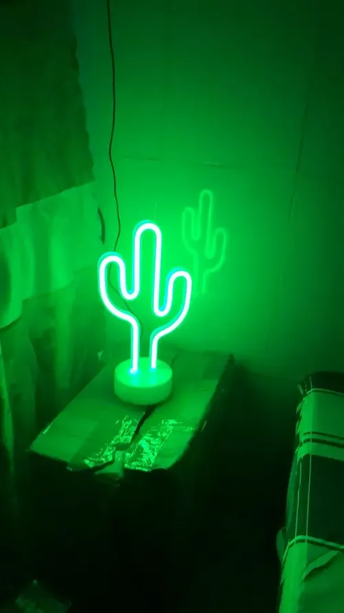 Rainbow Neon LED Light For Home Decor, Cactus Night Lamp for Holidays, Christmas Party, Wedding, Kids Room photo review