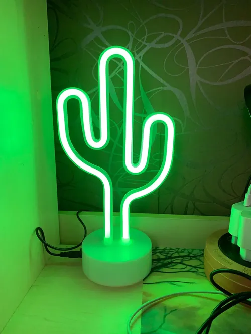 Rainbow Neon LED Light For Home Decor, Cactus Night Lamp for Holidays, Christmas Party, Wedding, Kids Room photo review