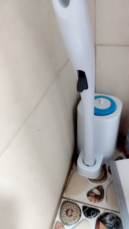 Magic Toilet Wand - With Disposable Toilet Brush photo review