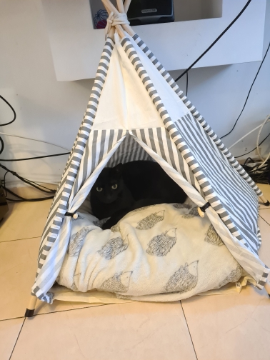 Modern Pet Tent Bed photo review