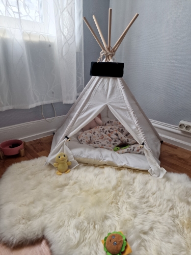 Modern Pet Tent Bed photo review