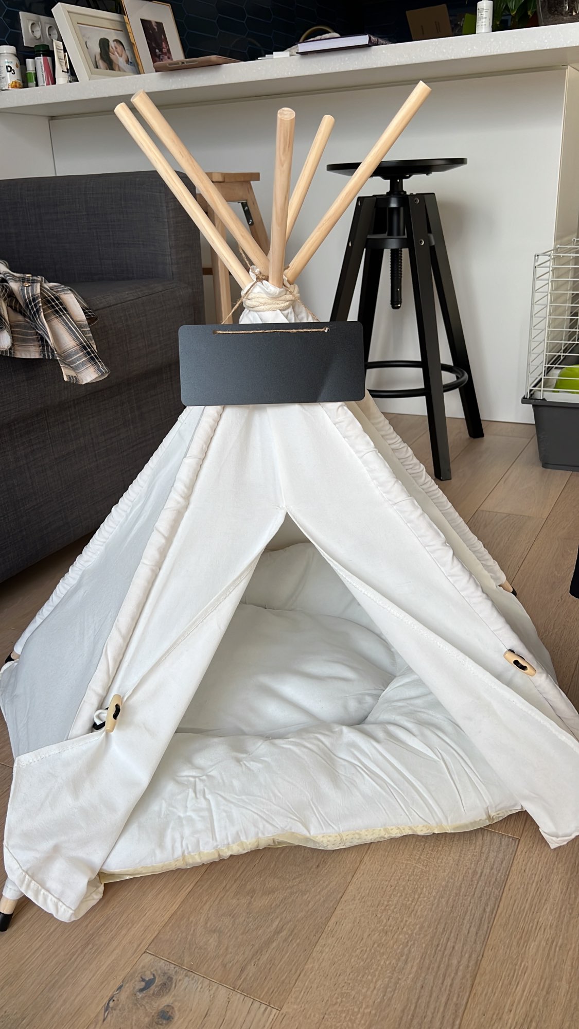 Modern Pet Tent Bed photo review