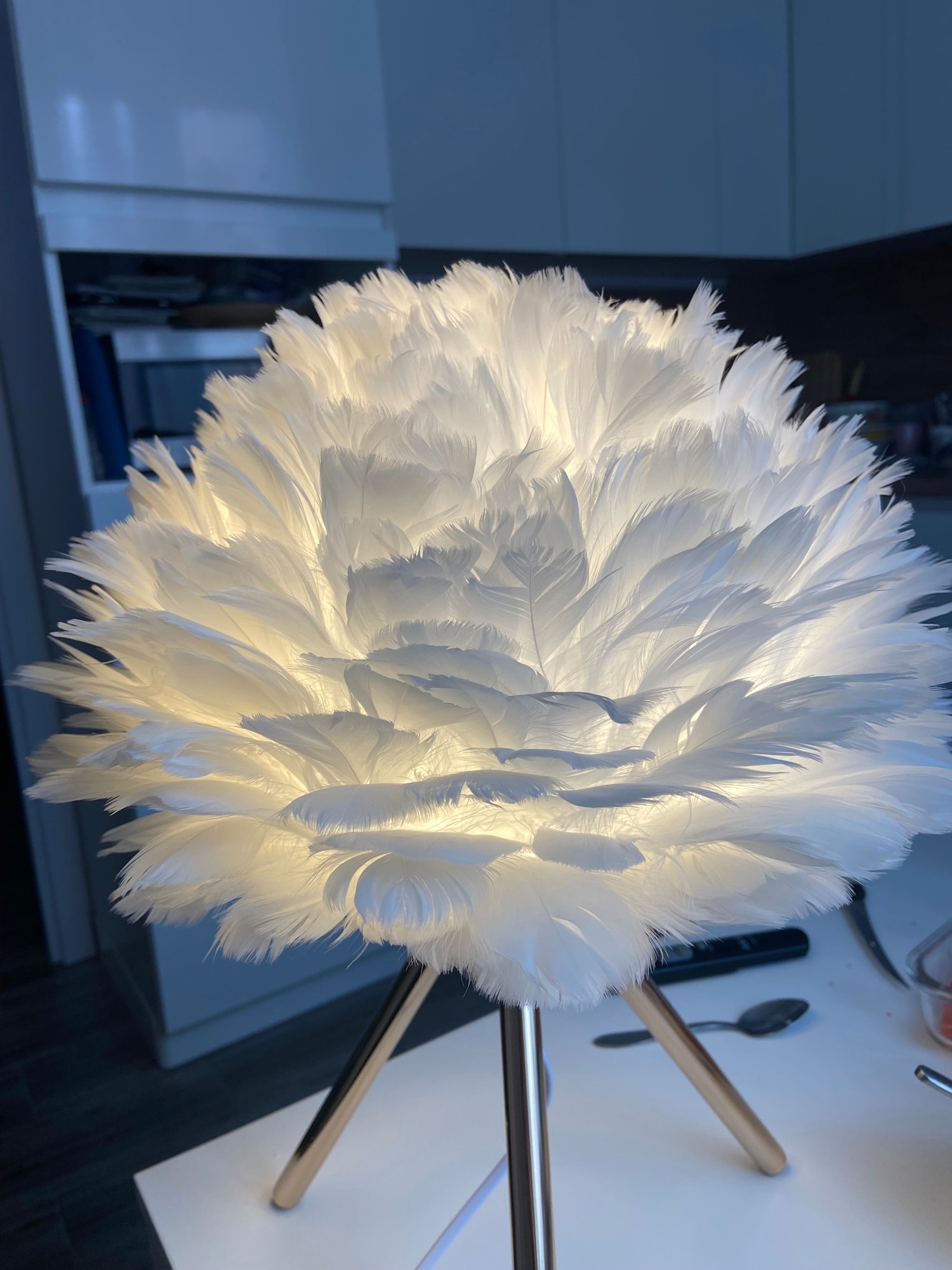 Modern Feather LED Table Lamp for Bedroom, Study, Dining Room, Hotel photo review