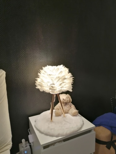 Modern Feather LED Table Lamp for Bedroom, Study, Dining Room, Hotel photo review