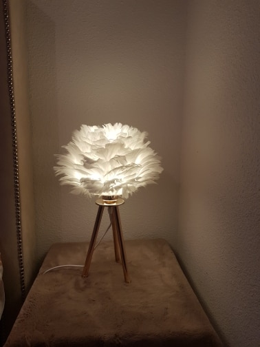 Modern Feather LED Table Lamp for Bedroom, Study, Dining Room, Hotel photo review