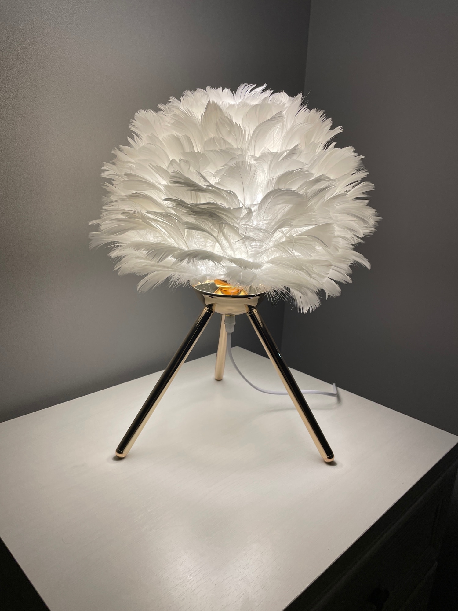 Modern Feather LED Table Lamp for Bedroom, Study, Dining Room, Hotel photo review