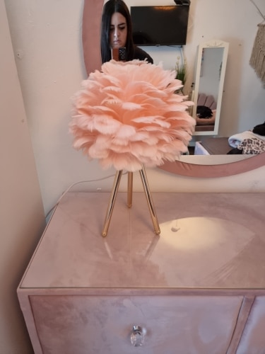 Modern Feather LED Table Lamp for Bedroom, Study, Dining Room, Hotel photo review