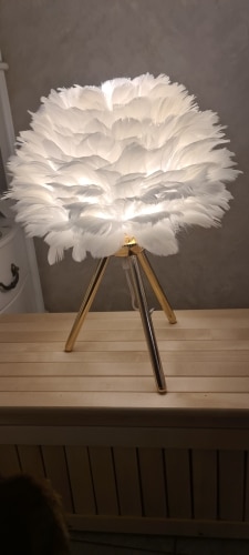 Modern Feather LED Table Lamp for Bedroom, Study, Dining Room, Hotel photo review