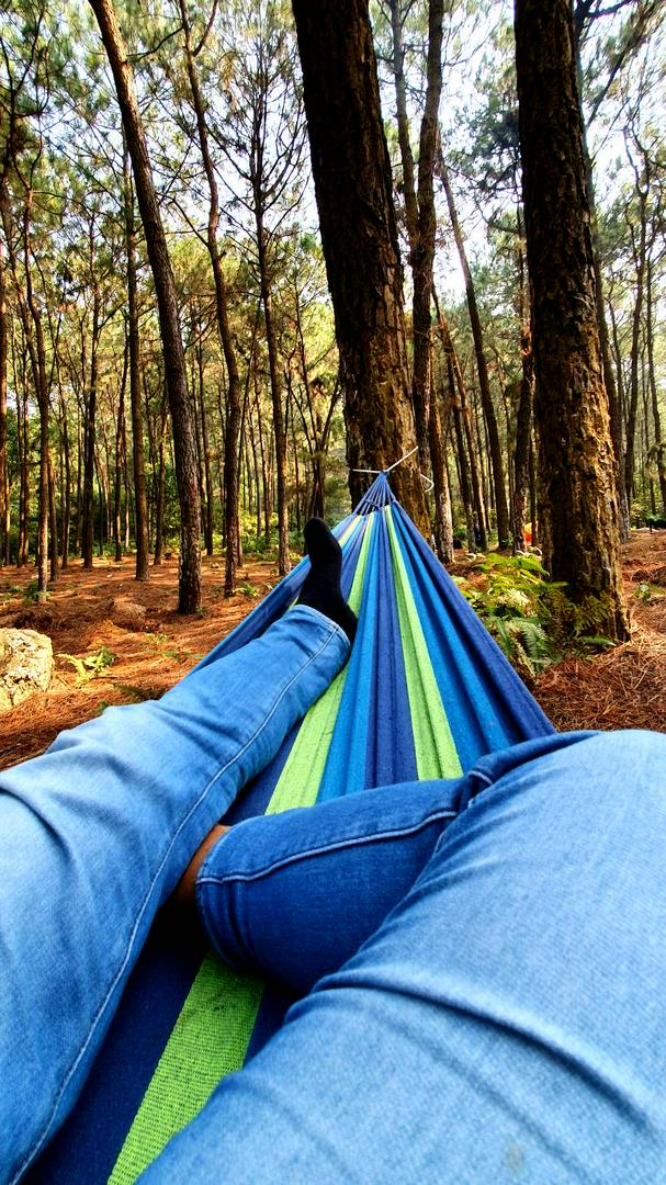 Outdoor Hammock Stand Swing With Wooden Curved Arc photo review