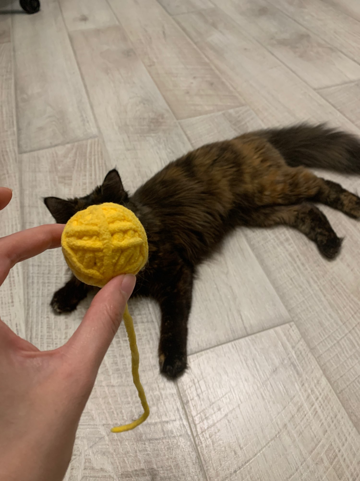 Self-Entertaining Cat Toys photo review