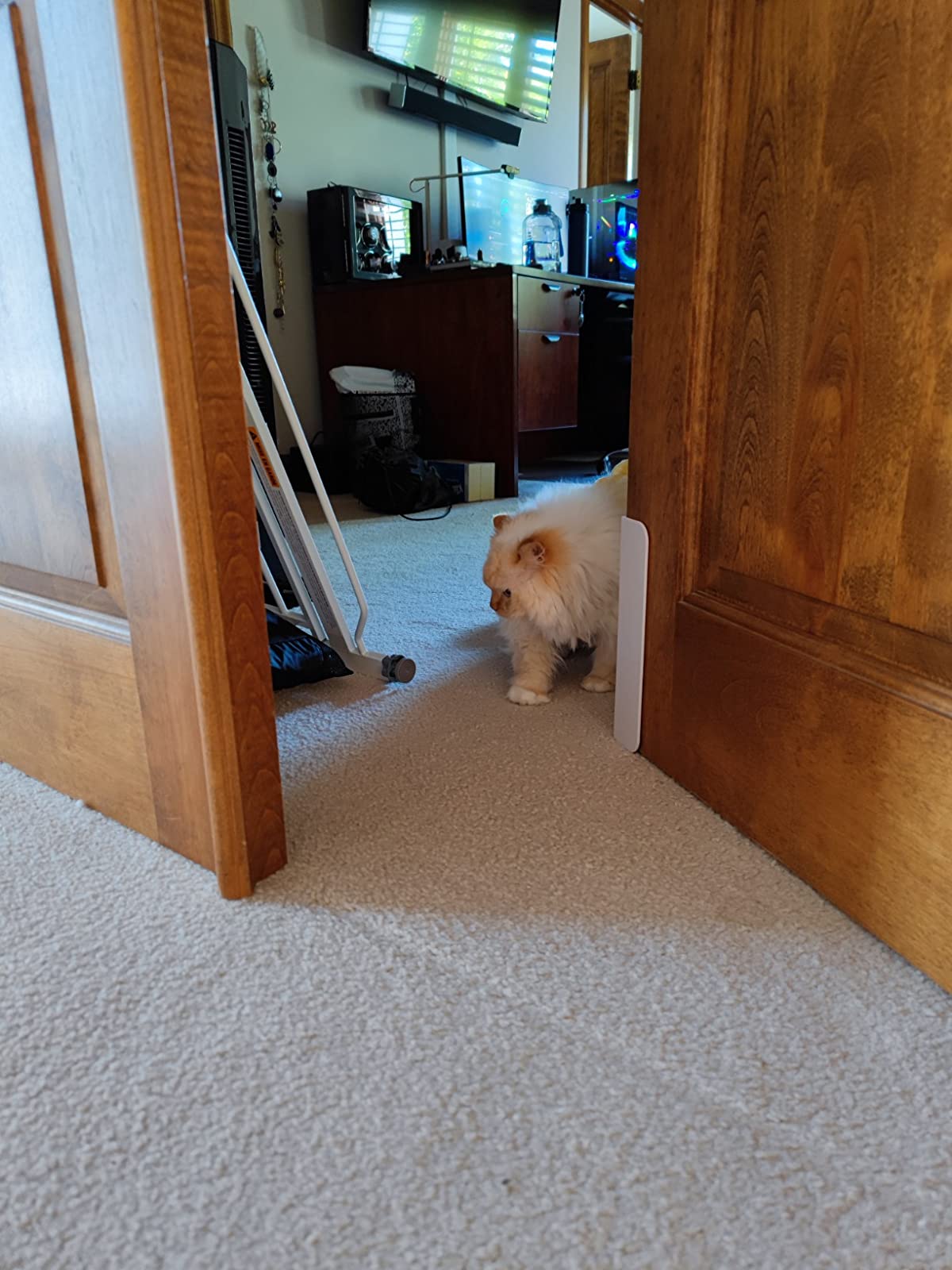 Pet Door Opener photo review