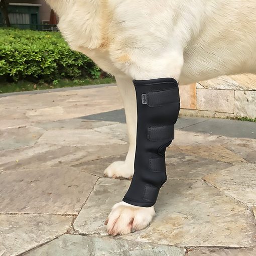 Pet Knee Pad Brace for Dog Leg Injury Recovery